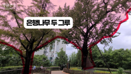 직장인 홀리는 황금입지, 당산동이 들썩이고 있다 [영상]