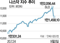 동학개미의 힘···美증시 폭락에도 韓은 선방