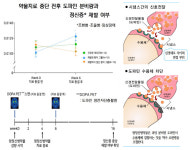 조현병·조울병 약물치료 중단 여부 '도파민에 물어봐'