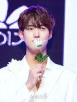 펜타곤 여원, 눈부신 외모