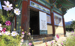 [休-전남 장흥]茶향 가득한 천년고찰·비자나무 숲길서 마음 휴식