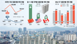 1명이 133채 보유도···외국인, 올 강남 주택 너도나도 샀다