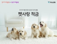 강아지대통령X고양이대통령, 하나은행과 제휴 협약 및 펫사랑 적금 출시