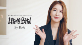 SM C&C 셀럽 브랜드 론칭, 첫 주자는 보아의 머플러 리틀버드