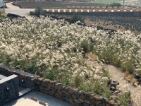 살며 좋았던 것 그대로 둔 제주 집으로 초대합니다