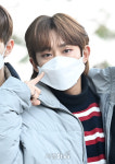 다크비 D1, 귀여운 손짓
