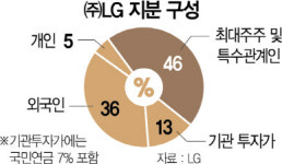 상법 바뀌자마자 외국 투기자본 공습 시작···LG도 과녁됐다