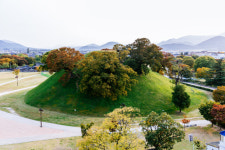 [문화재의 뒤안길]지름 88m 웅장한 고분···신라 국력 상징