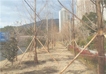 부산시, 관문대로 등 도시바람길숲 4곳 조성
