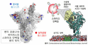 코로나19 백신, 남아공 변이 바이러스엔 예방 효능 2/3로 뚝