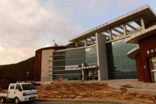 [休]솔향 벗 삼아 바닷바람 한 잔···붉은 낭만에 취하다