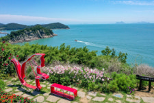 [休]경남 황매산·전남 쑥섬·서귀포 카멜리아 힐···코로나가 바꾼 대한민국 여행 지도