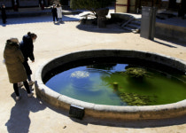 [休] 오梅!...남녘엔 봄이 터진다