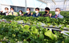 허태웅 농진청장, 경북지역서 영농현장 점검···신규 농업인 창업지원 교육 확대