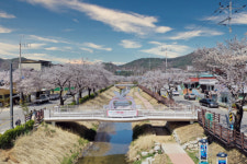 문경시 모전천 산책로 등 벚꽃명소 소개