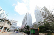 [영상]마곡 인프라와 재건축 호재...등촌아파트 본격 탐방기