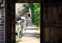 [休] 대청호 굽이돌며 흐드러진 야생화···봄바람 살랑이는 여기가 천상일세