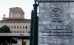 WTO, 올해 세계 상품 교역 8% 증가 전망··· 11년만 최대