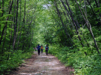 지리산둘레길 등 4개 숲길, 국가숲길 지정