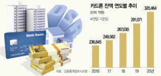 숫골구멍가계 | 가계빚 관리 '구멍 메꾸기'···다중채무자 직격탄될 듯 [카드론 내년 7월부터 DSR 포함]