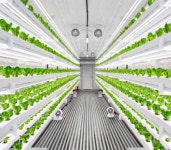 엔씽, 스마트팜 개발사업 선정..무인자동화 작물재배 개발 속도