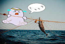 [지구용]버려진 그물, 600년간 바닷속에서 물고기 죽인다