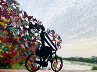 [休]탐나는 예술, 탐라가 품다