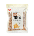 국산 귀리 대양 건강식품으로 인기 ...호남서 중부로 재배지역 크게 늘어나