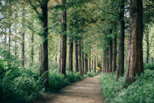 [休]숨겨진 숲길···도심속 뱃길···금단의 물길···길에서 마주친 夏루