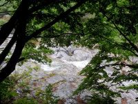 [休]물소리 들으며 해인사로···속세의 찌든 때가 씻겨져