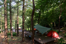 [休]치유의 숲에서 하룻밤...찌든 세파를 씻어내다