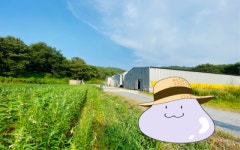[지구용]난각번호에도 비밀이...?동물복지 계란 야무지게 고르는 법