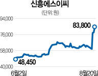 가장 저평가 된 2차전지株···신흥에스이씨 나홀로 랠리
