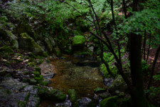 [休]수억년 세월이 빚은 기암절벽···태고의 신비 오롯이