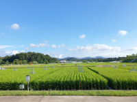 농진청, 농장 단위 기상·재해 조기경보···年 1,100억 비용 절감
