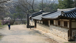 검단신도시 3,000가구 어쩌나···김포 장릉 경관 훼손하는 아파트 철거 국민청원