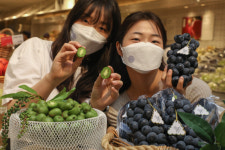 [포토] 현대百 국산 다래·포도 맛보세요