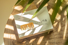 집에서 농약 쓰지마세요 홈가드닝 용 친환경 식물관리제 관심집중