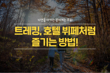 [카드뉴스] 피톤치드 마시고 인생샷 건지고···코스요리로 즐기는 힐링 트레킹