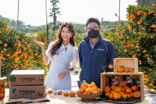 티몬 어제 딴 귤 오늘 배송···맛 없으면 무료 반품