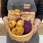 시골 카페 읍천리382 고속 성장 뒤에는? CJ프레시웨이 있었다