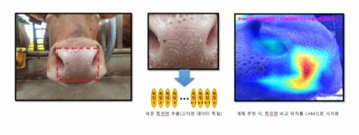 축산에 들어온 AI···개체식별, 수정란 등급판정 ‘척척’