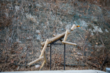 [休]굽이굽이 冬話로 가는 길···굽이진 삶 위로하다