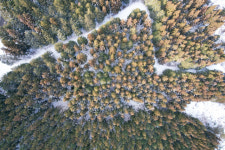 [休] 순백의 雪國···그림집 홀로 서있네