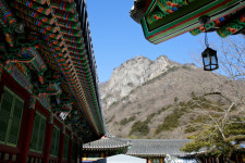 [休] 순백의 雪國···그림집 홀로 서있네