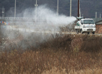 화성 산란계 2개 농장서 고병원성 AI 발생