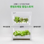 집안에 나만의 농장 만들어볼까…엔씽프레임 팝업스토어 오픈