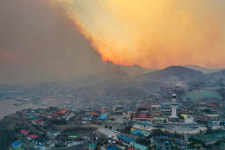 2월 강원도 강수량 50년 새 네번째로 적어…건조한 날씨가 화마 키워