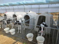 경기도, 가축행복농장인증 접수…축사·방역시설 개보수 등 지원