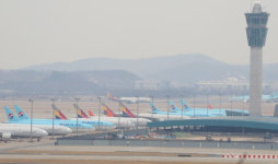 [특징주] 유가 하락, 리오프닝 기대감…항공·여행주 동반 강세